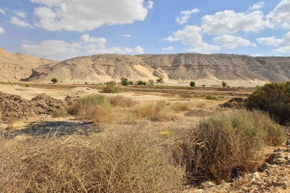 محافظ أسيوط يتفقد 79 فدانا يصلحون للاستصلاح الزراعي بالظهير الصحراوي (صور)الثلاثاء 05/نوفمبر/2024 - 10:46 ص
تفقد اللواء هشام أبو النصر محافظ أسيوط، قطعة أرض بالظهير الصحراوي بقرية النواورة التابعة لمركز البدارى بمساحة 79 فدان تصلح للاستصلاح الزراعي للوقوف على سبل تطويرها وتعظيم الإستفادة منها