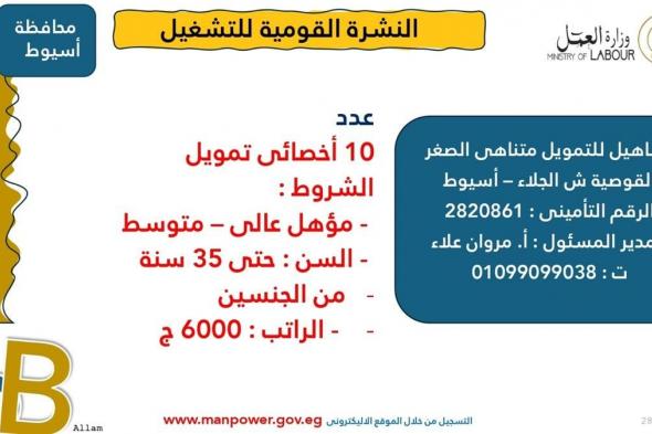 وظائف 2025، وزارة العمل توفر 3215 فرصة عمل جديدةالأربعاء 01/يناير/2025 - 09:53 ص
أصدرت وزارة العمل اليوم الأربعاء، نشرة التوظيف نصف الشهرية ،التي تُعلن فيها عن فرص عمل جديدة في المحافظات ،تنسيقًا مع شركات القطاع الخاص.