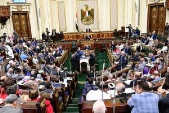 عضو مجلس النواب: إلغاء الحبس الاحتياطي للأطباء يحمي الطبيب والمنشآت الصحية من أي اعتداءات